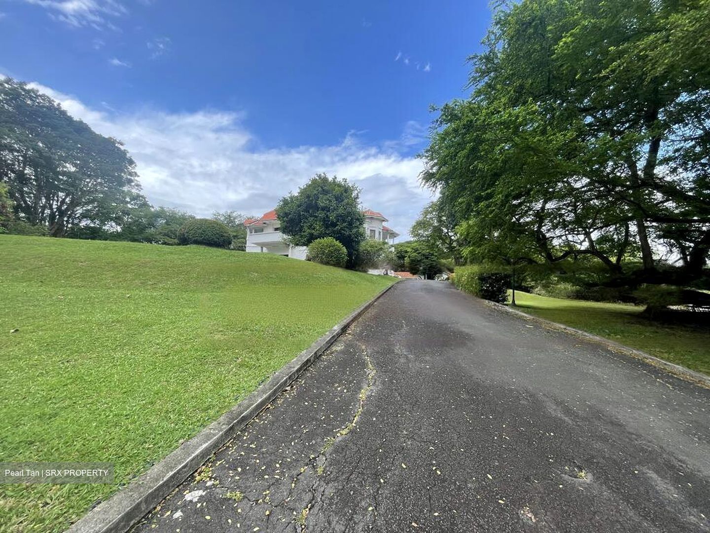 Tanglin Hill Villas (D10), Detached #458592931